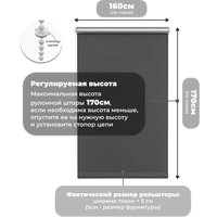 Рулонные шторы Sundays Home LM 167-07 160х170 (темно-серый)