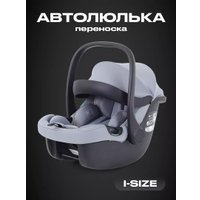 Детское автокресло Rant Carry 2.0 AY329 (серый)