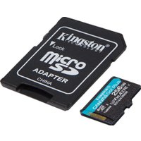 Карта памяти Kingston Canvas Go! microSDXC 256GB SDCG4/256GB (с адаптером)