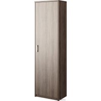 Шкаф распашной Программа Техно Арго А-308 (лагос) в Борисове