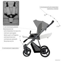 Универсальная коляска BEBETTO Flavio (2 в 1, 10)