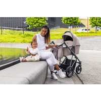 Универсальная коляска BEBETTO Flavio (2 в 1, 03)