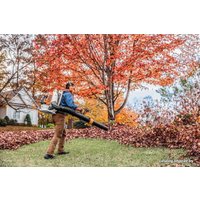 Ранцевая воздуходувка STIHL BR 800 C-E