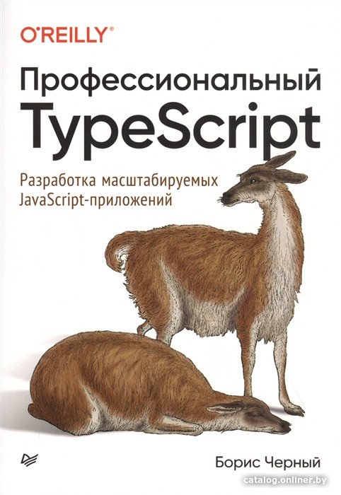 Книга издательства Питер. Профессиональный TypeScript (Черный Б.)
