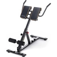 Гиперэкстензия Oxygen Fitness Hood