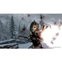  The Elder Scrolls V: Skyrim Special Edition для PlayStation 4