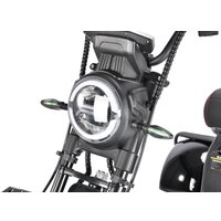 Электроскутер White Siberia CityCoco WS-Pro Trike 3000W 21Ah (с черными брызговиками)