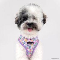 Шлейка-жилетка Puppia Lita-A PAWA-HA1959-PU-M (фиолетовый)