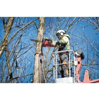 Аккумуляторная пила Milwaukee M18 FCHS-121B Fuel 4933464223 (с 1-им АКБ)