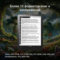 Электронная книга Digma A6
