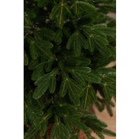 Ель Ёлушка Литая Марьинская ЕМАР 11 (1.1м)