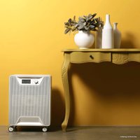 Очиститель воздуха Airgle AG600