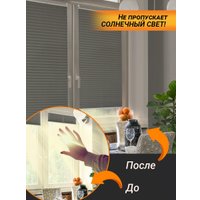 Плиссе Delfa Crep BLO СПШ-36206 (34x160, серебро)