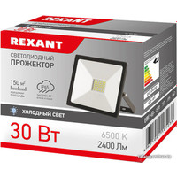 Уличный прожектор Rexant 605-003