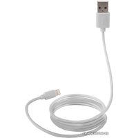 Кабель Canyon MFI-1 CNS-MFICAB01W USB Type-A - Lightning (1 м, белый)