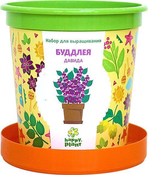 

Набор для опытов Happy plant Буддлея Давида hpn-13