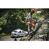Бензопила Husqvarna T540 XP