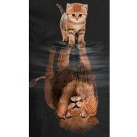 Картина Stamion Лева (45x75см) в Пинске