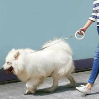 Поводок-рулетка Moestar UFO Retractable Leash 2 Air (черный)