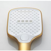 Душевая лейка Shevanik SH40G-1