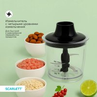 Погружной блендер Scarlett SC-HB42F87 в Солигорске