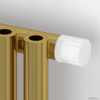 Стальной трубчатый радиатор Сунержа Эстет-0 EU50 правый 1200х225 5 секций (золото)