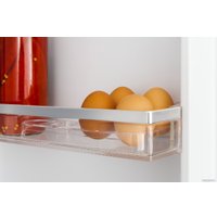 Холодильник Amica BK3235.4DFOMAA в Бресте