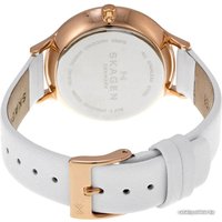 Наручные часы Skagen SKW2311