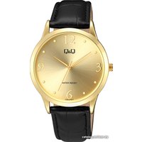 Наручные часы Q&Q C08AJ019