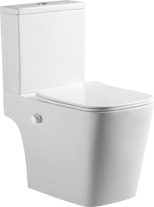 Унитаз напольный Amore di Mare N900X Tronto Bidet (с функцией биде)