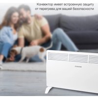 Конвектор StarWind SHV1020