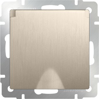 Розетка Werkel WL10-SKGSC-01-IP44 (шампань рифленый)