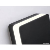 Уличный настенный светильник Ambrella light Garden ST4545