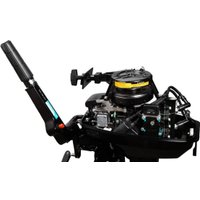 Лодочный мотор BarrakuDA HD9.8FHS