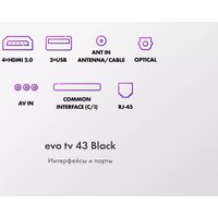 Телевизор Evo TV 43 Black TD0051752RU