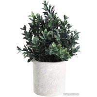 Искусственное растение Eglo Chitose 428028 (пластик, коричневый/зеленый) в Мозыре