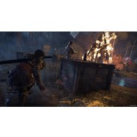  Rise of the Tomb Raider: 20 Year Celebration для PlayStation 4