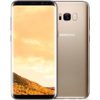 Телефон Samsung Galaxy S8+ Dual SIM 64GB (желтый топаз) [G955FD]