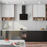 Кухонная вытяжка Globalo Zenesor 60.2 (черный) в Борисове