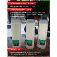 Набор свечей Bolsius Ритуальные масляные Copmo rc8 rspo mb 8 дней горения (белый)