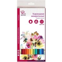 Набор акварельных карандашей АртФормат AF03-041-12