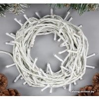 Светодиодная гирлянда Luazon Нить 3556802