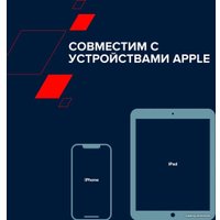 Внешний аккумулятор Canyon PB-109 10000mAh (черный)