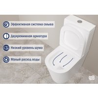Унитаз напольный Lauter W76 P-TRAP 21122762 + гигиенический душ Infinity 21LT0103CH (горизонтальный выпуск)