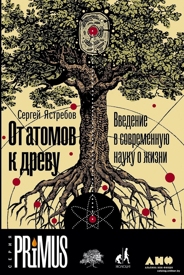 Книга издательства Альпина Диджитал. От атомов к древу (Ястребов С.)