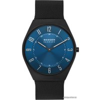Наручные часы Skagen Grenen SKW6840