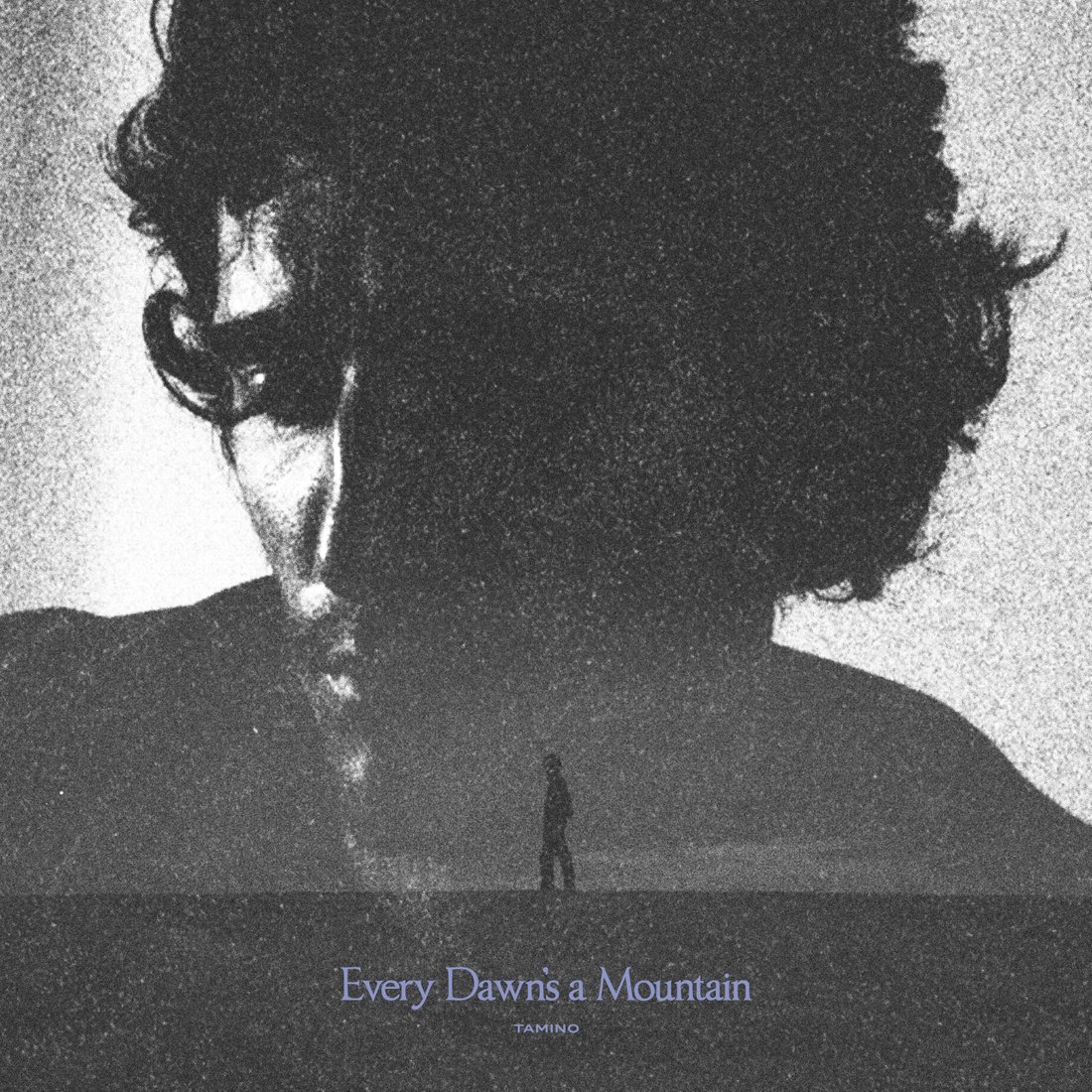 

Виниловая пластинка Tamino ‎- Every Dawn's a Mountain