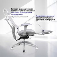 Офисное кресло Evolution Ergo Elite (черный)