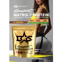 Протеин комплексный Binasport Excellent Matrix-7 Protein (1000г, имбирный пряник)