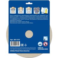 Набор шлифлистов Практика Профи 921-312 (5 шт)